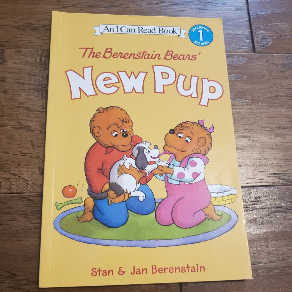 The Berenstain Bears book